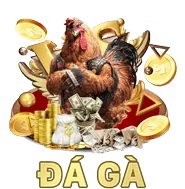 Hoàn trả hàng tuần m66